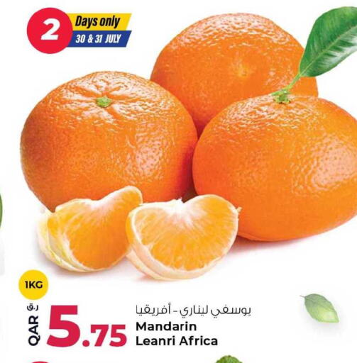 Mandarin available at روابي هايبرماركت in قطر - الضعاين