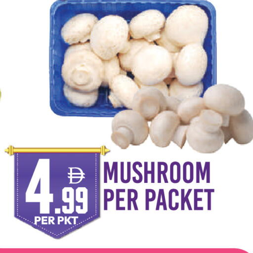 Mushroom available at دريم لاند in الإمارات العربية المتحدة , الامارات - دبي