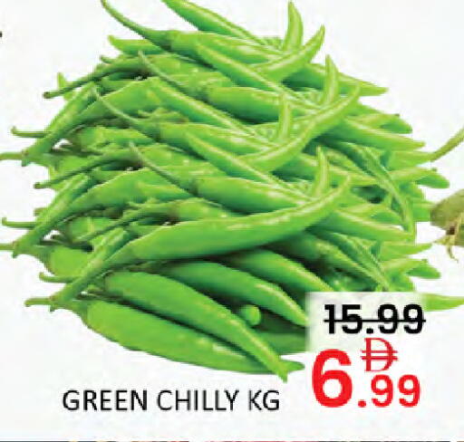 available at المدينة in الإمارات العربية المتحدة , الامارات - أبو ظبي