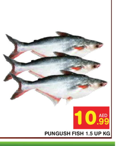available at سنابل بني ياس in الإمارات العربية المتحدة , الامارات - أبو ظبي
