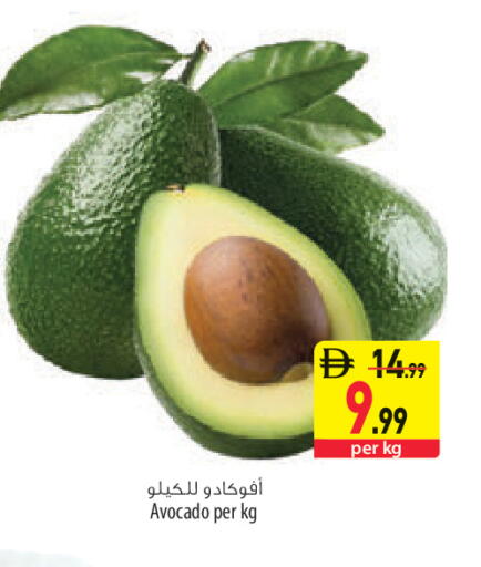 Avocado available at السفير ماركت in الإمارات العربية المتحدة , الامارات - أبو ظبي