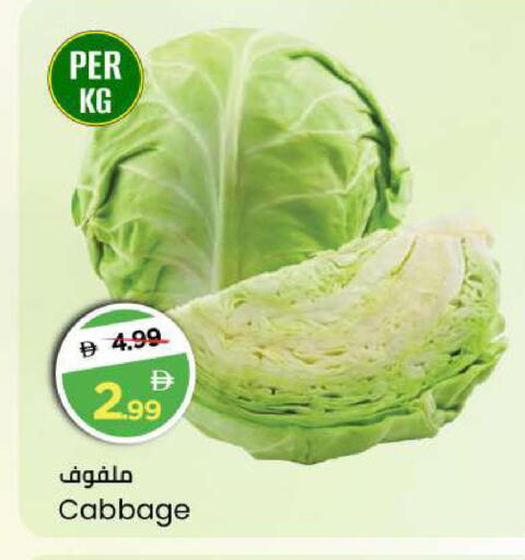 Cabbage available at مارك & سيف in الإمارات العربية المتحدة , الامارات - أبو ظبي