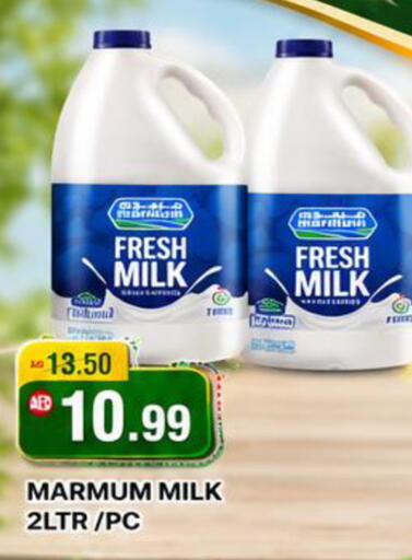 available at ROYAL GULF HYPERMARKET LLC in UAE - Abu Dhabi