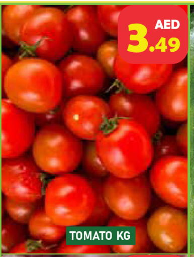 Tomato available at Baniyas Spike  in UAE - Abu Dhabi