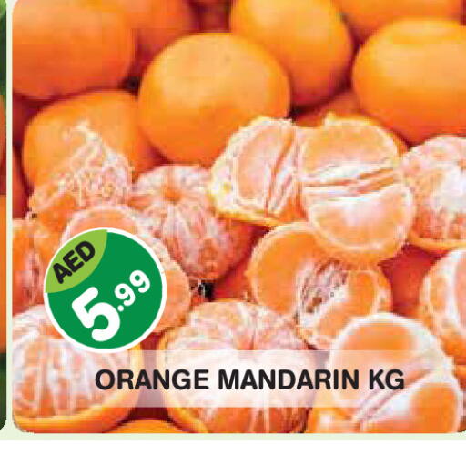 Orange Mandarin available at سنابل بني ياس in الإمارات العربية المتحدة , الامارات - أبو ظبي