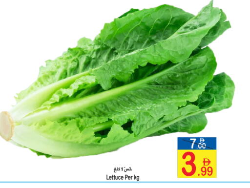 Lettuce available at Sun and Sand Hypermarket in UAE - Ras al Khaimah