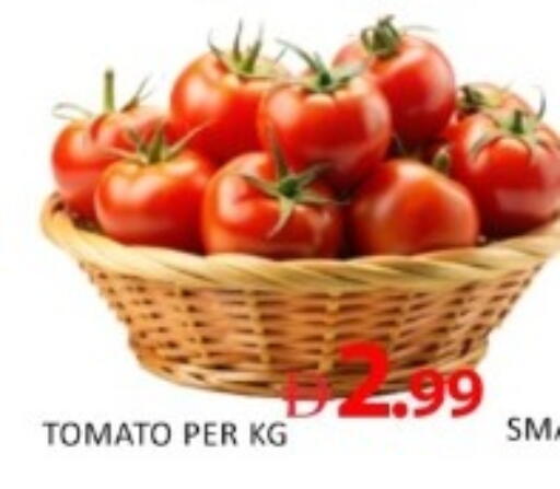 Tomato available at GREEN GIFT DEPARTMENT STORE in UAE - Abu Dhabi