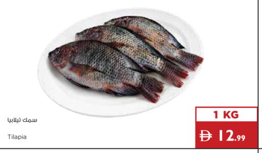 available at Istanbul Supermarket in UAE - Dubai