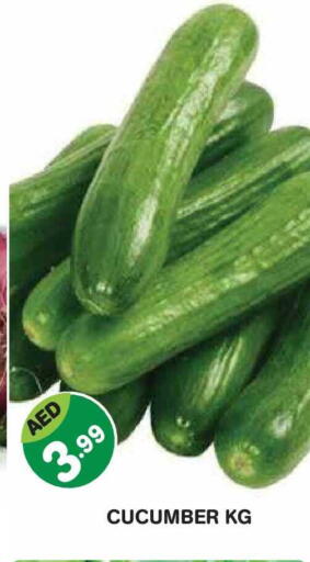 Cucumber available at سنابل بني ياس in الإمارات العربية المتحدة , الامارات - أبو ظبي