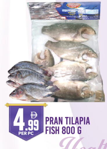 available at دريم لاند in الإمارات العربية المتحدة , الامارات - دبي