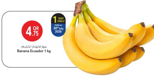 Banana from Ecuador available at سفاري هايبر ماركت in قطر - الشمال