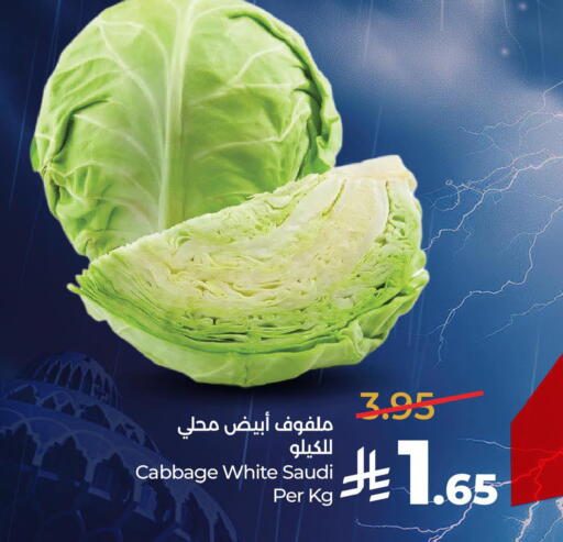 Cabbage from Saudi Arabia available at لولو هايبرماركت in مملكة العربية السعودية, السعودية, سعودية - الخبر‎