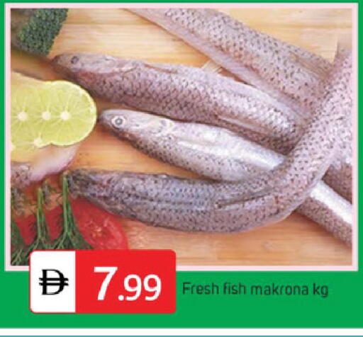 available at سوق طلال in الإمارات العربية المتحدة , الامارات - الشارقة / عجمان