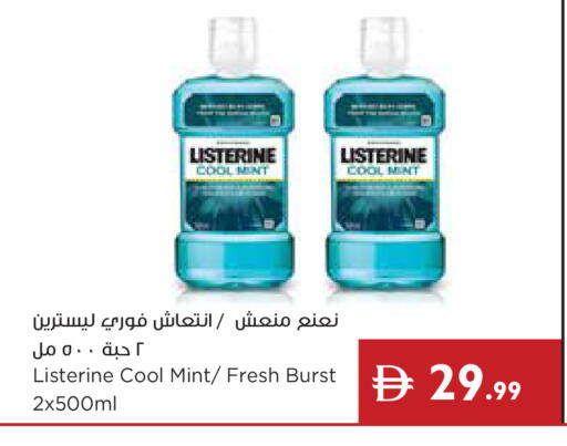 Mint available at إسطنبول سوبرماركت in الإمارات العربية المتحدة , الامارات - أبو ظبي