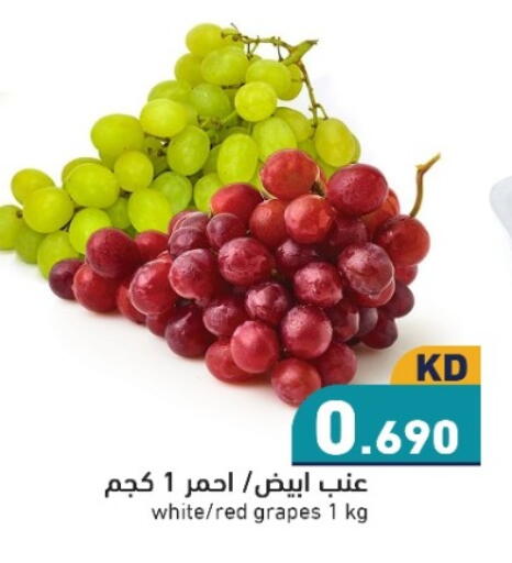 Grapes available at  رامز in الكويت - محافظة الجهراء