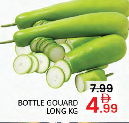 available at المدينة in الإمارات العربية المتحدة , الامارات - أبو ظبي