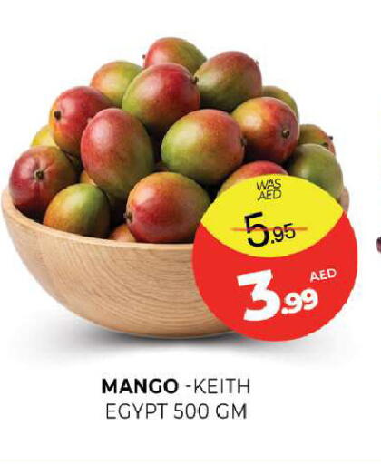 Mango from Egypt available at المدينة in الإمارات العربية المتحدة , الامارات - الشارقة / عجمان