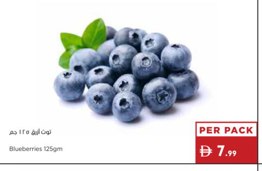 available at إسطنبول سوبرماركت in الإمارات العربية المتحدة , الامارات - أبو ظبي