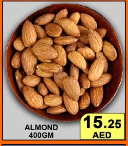 available at جرين جيفت متجر أقسام in الإمارات العربية المتحدة , الامارات - دبي