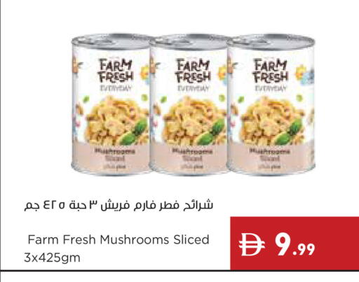 available at إسطنبول سوبرماركت in الإمارات العربية المتحدة , الامارات - أبو ظبي