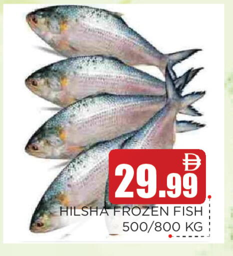 available at Ain Al Madina Hypermarket in UAE - Sharjah / Ajman