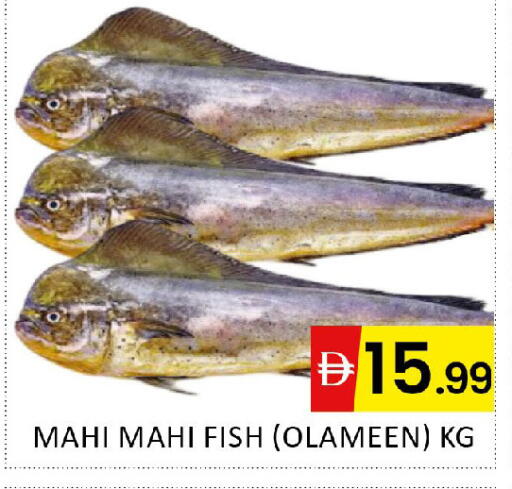 available at Al Madina  in UAE - Dubai