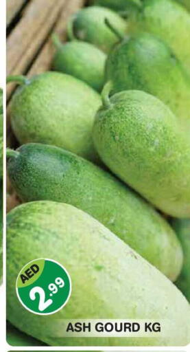 available at سنابل بني ياس in الإمارات العربية المتحدة , الامارات - أبو ظبي
