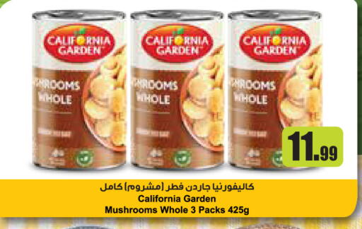 available at تروليز سوبرماركت in الإمارات العربية المتحدة , الامارات - الشارقة / عجمان