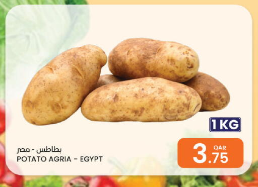 Potato from Egypt available at Al Baladi Al Yawm in Qatar - Al Daayen