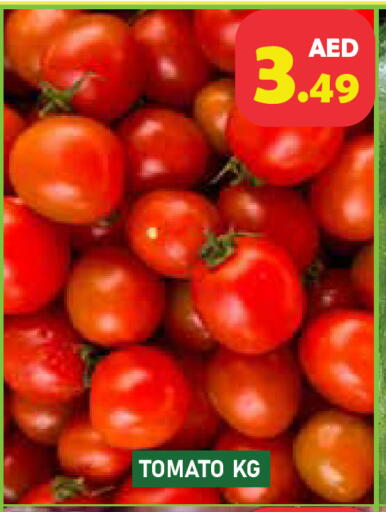Tomato available at Baniyas Spike  in UAE - Abu Dhabi