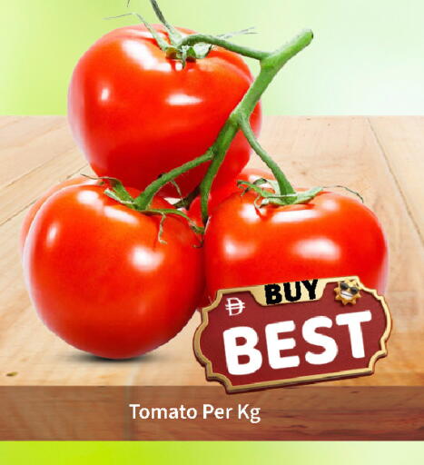 Tomato available at ROYAL GULF HYPERMARKET LLC in UAE - Abu Dhabi