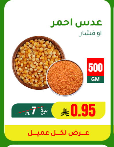 available at AlHajri Food in KSA, Saudi Arabia, Saudi - Khamis Mushait