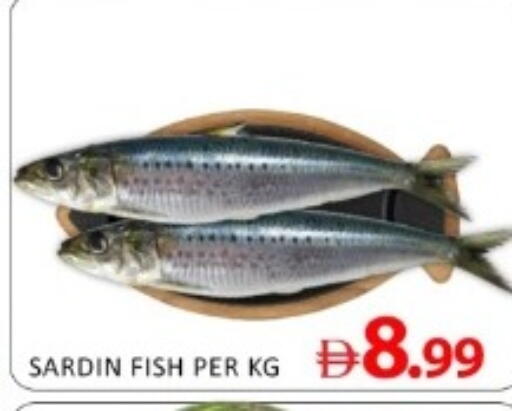 available at متجر الهدايا الخضراء in الإمارات العربية المتحدة , الامارات - أبو ظبي