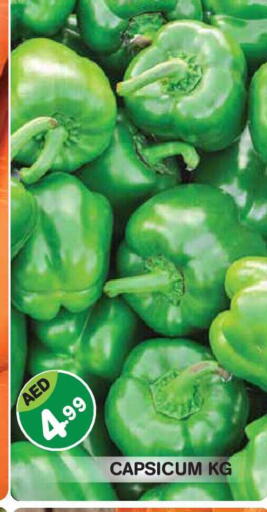 Capsicum available at سنابل بني ياس in الإمارات العربية المتحدة , الامارات - أبو ظبي