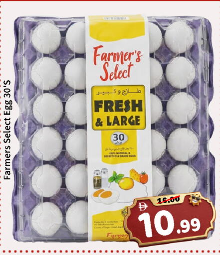 available at ROYAL GULF HYPERMARKET LLC in UAE - Abu Dhabi