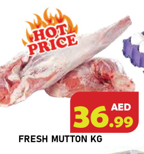 available at سنابل بني ياس in الإمارات العربية المتحدة , الامارات - رَأْس ٱلْخَيْمَة
