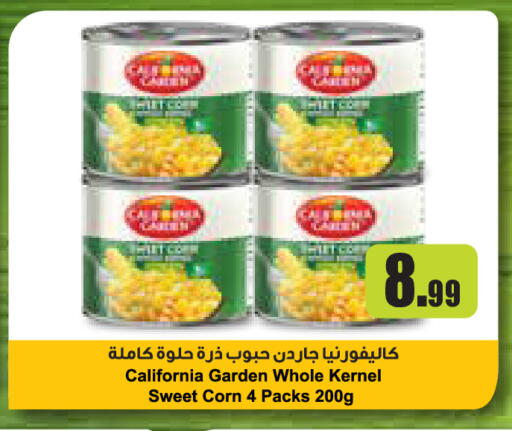 available at إسطنبول سوبرماركت in الإمارات العربية المتحدة , الامارات - أبو ظبي