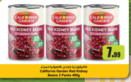 available at إسطنبول سوبرماركت in الإمارات العربية المتحدة , الامارات - أبو ظبي