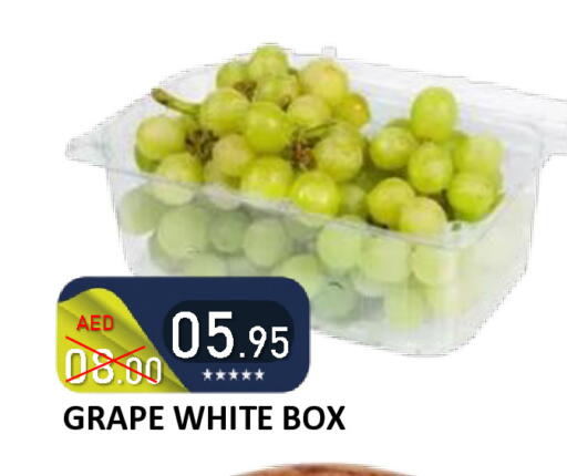 available at رويال جلف هايبرماركت in الإمارات العربية المتحدة , الامارات - أبو ظبي