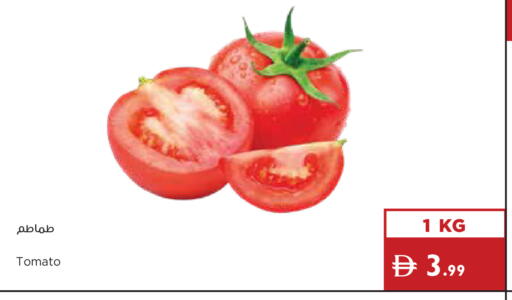 Tomato available at Istanbul Supermarket in UAE - Abu Dhabi