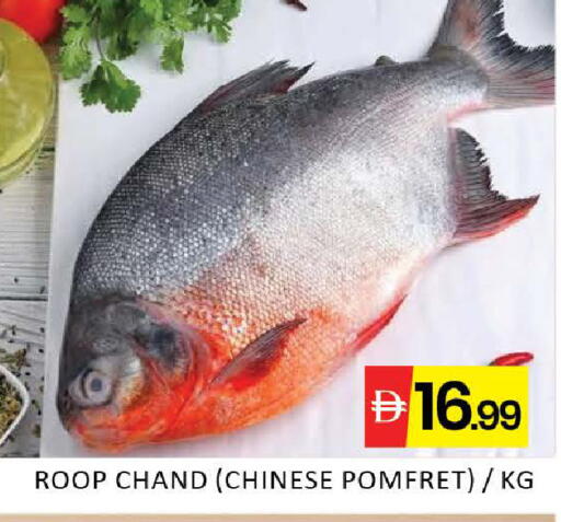 Mango available at Mango Hypermarket LLC in UAE - Dubai