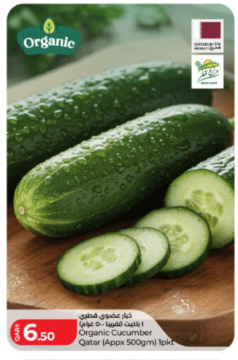 Cucumber from Qatar available at لولو هايبرماركت in قطر - الدوحة