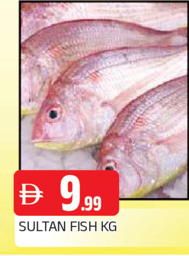 available at AL MADINA in UAE - Sharjah / Ajman