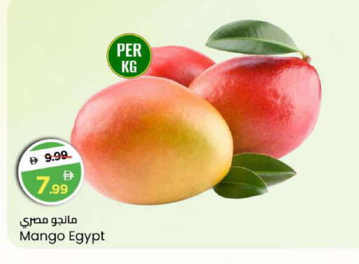 Mango from Egypt available at مارك & سيف in الإمارات العربية المتحدة , الامارات - أبو ظبي