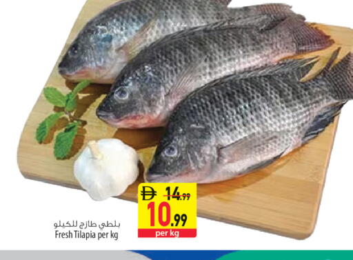 available at Safeer Market in UAE - Abu Dhabi