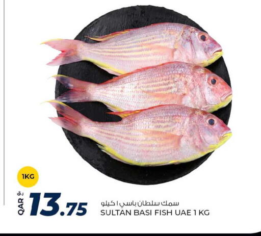 available at روابي هايبرماركت in قطر - الدوحة