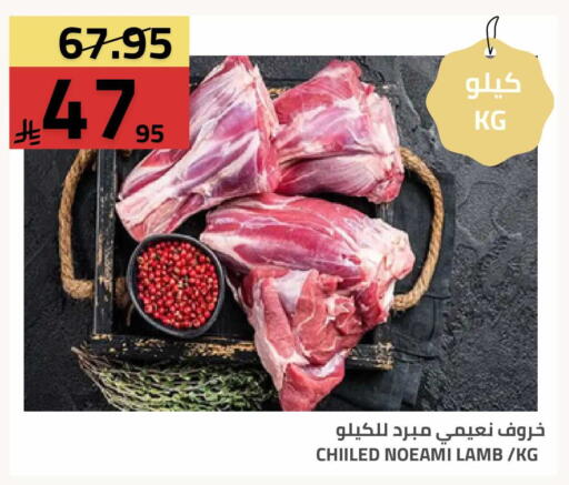 available at أسواق أسترا in مملكة العربية السعودية, السعودية, سعودية - تبوك