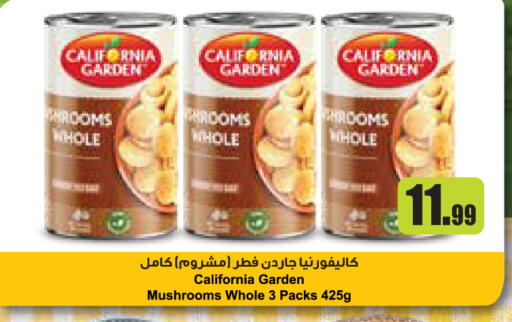 available at إسطنبول سوبرماركت in الإمارات العربية المتحدة , الامارات - أبو ظبي