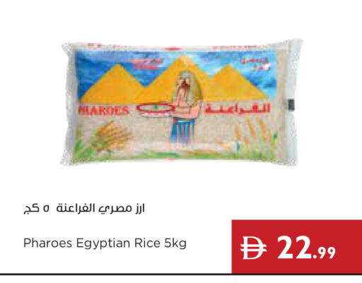 available at إسطنبول سوبرماركت in الإمارات العربية المتحدة , الامارات - أبو ظبي