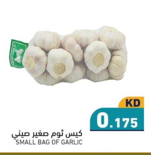 Garlic available at  رامز in الكويت - محافظة الجهراء